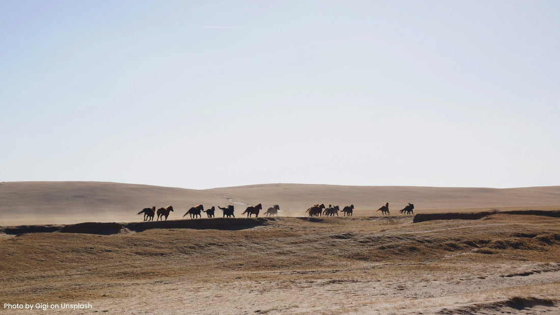 Silverglide's Seamless Transformation: How SMB Consultants Stitched Together Operational Success