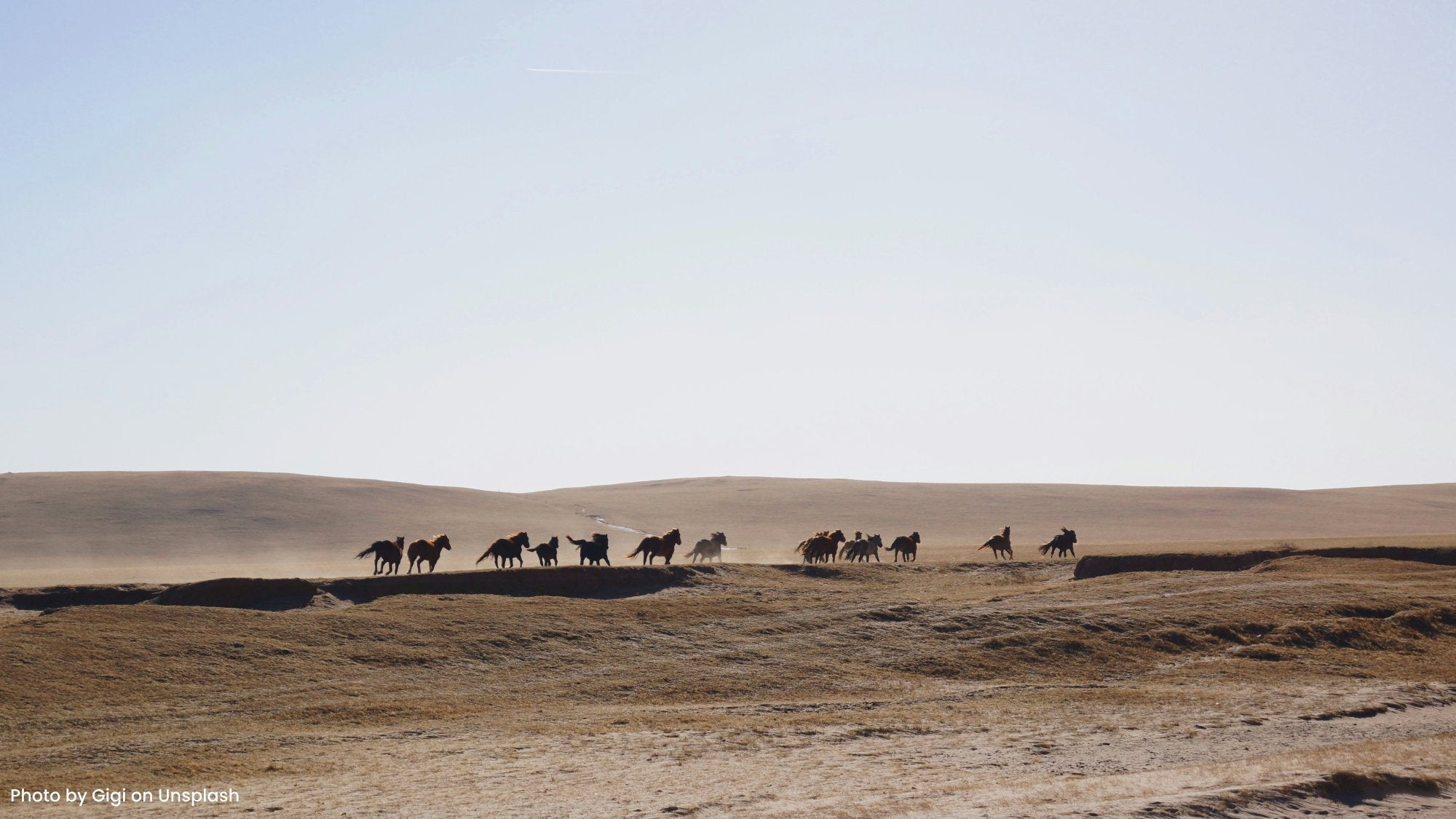 Silverglide's Seamless Transformation: How SMB Consultants Stitched Together Operational Success