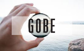 SMB Consultants Cloud App Integrators Client Success - Gobe